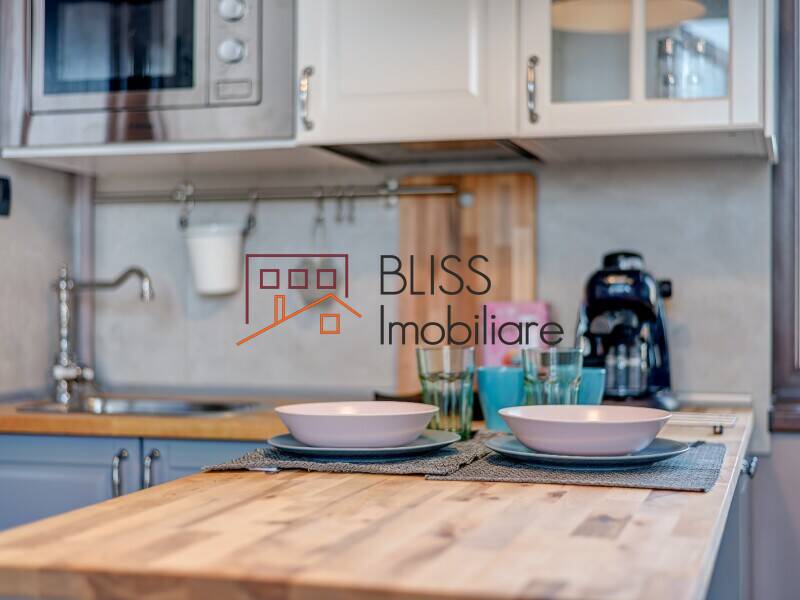 Garsoniera de Inchiriat KM 0 | Ultracentral - ID:66939 | Bliss Imobiliare / Photo 11 - BLISS Imobiliare