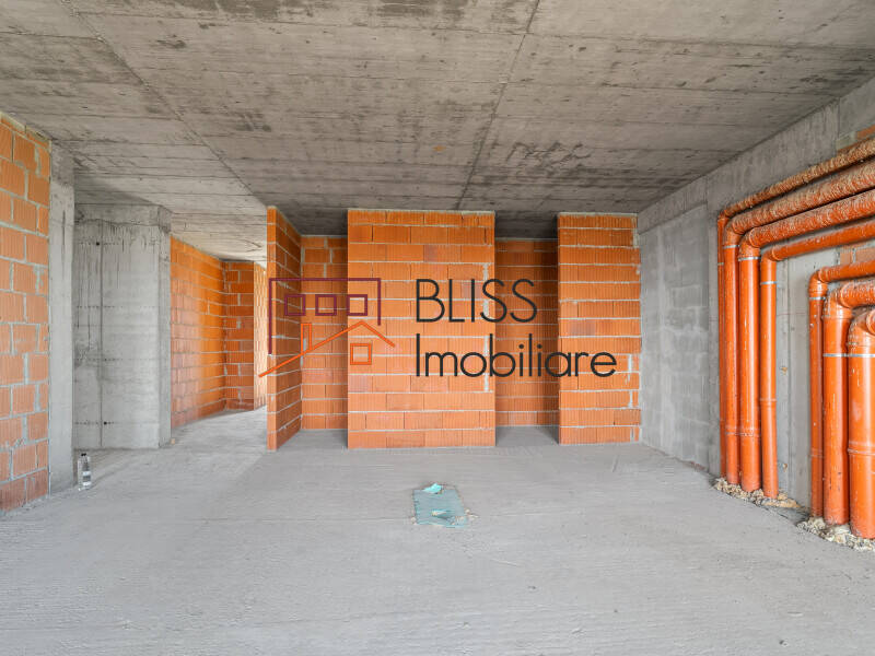 Penthouse Duplex Cloud9 – 370 Mp, La Rosu, Parcare 8-12 Locuri | Bliss Imobiliare / Photo 14 - BLISS Imobiliare