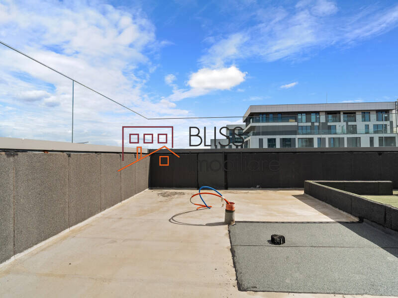 Duplex Penthouse Cloud9 – 370 Sqm, Shell Condition, 8-12 Parking, Bucharest | Bliss Imobiliare / Photo 16 - BLISS Imobiliare