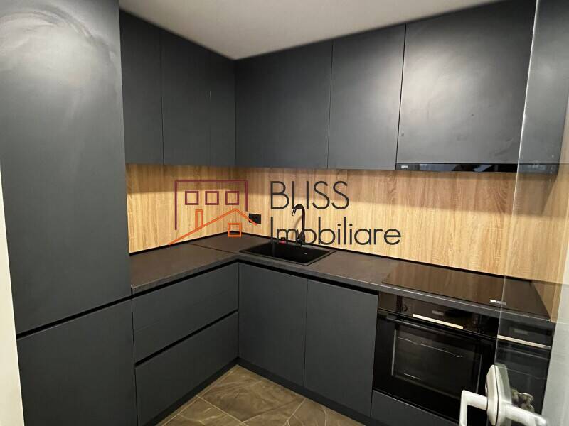 Apartment for Rent Herastrau | Nordului, Bucharest - 1 Bedroom - ID:116325 | Bliss Imobiliare / Photo 4 - BLISS Imobiliare