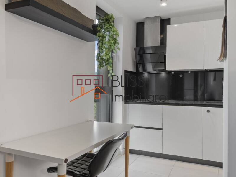 2-Bedroom Apartment One Herastrau Plaza With Underground Parking, Bucharest | Bliss Imobiliare / Photo 6 - BLISS Imobiliare