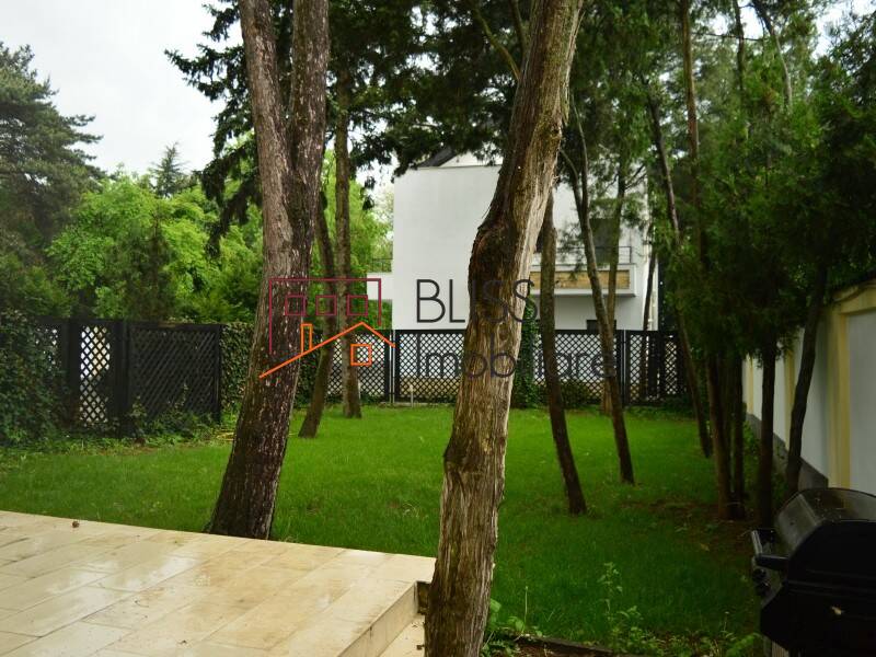 Vila de Inchiriat Iancu Nicolae | Pipera - 6 Camere - ID:31061 | Bliss Imobiliare / Photo 68 - BLISS Imobiliare