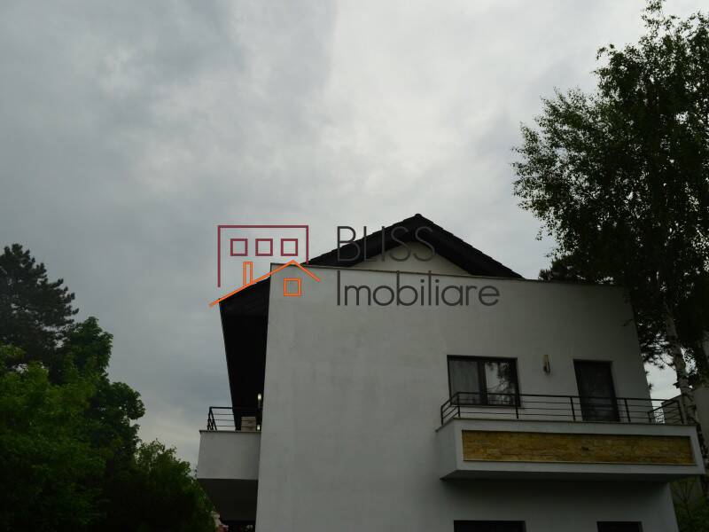 Villa for Rent Iancu Nicolae | Pipera, Bucharest / Ilfov - 5 Bedroom - ID:31061 | Bliss Imobiliare / Photo 75 - BLISS Imobiliare