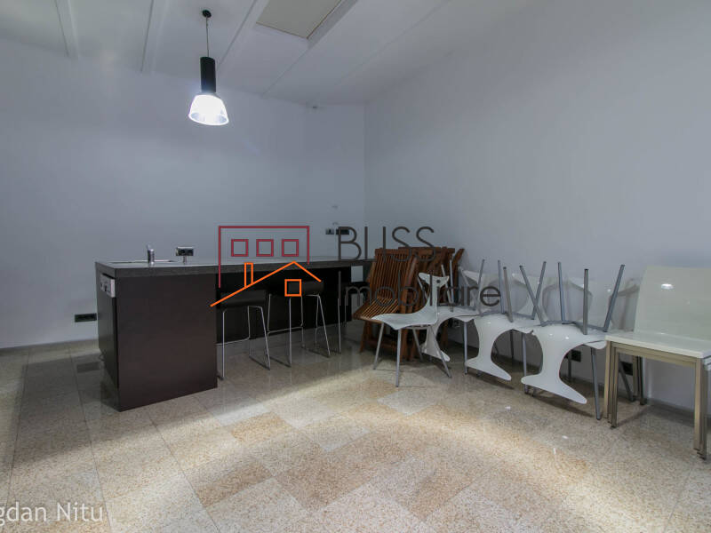 Villa for Rent KM 0 | Ultracentral, Bucharest - 4 Bedroom - ID:4477 | Bliss Imobiliare / Photo 46 - BLISS Imobiliare