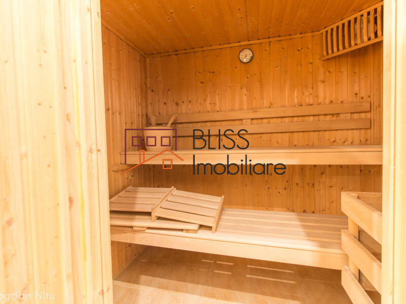 Vila de Inchiriat Iancu Nicolae | Pipera - 9 Camere - ID:36899 | Bliss Imobiliare / Photo 36 - BLISS Imobiliare