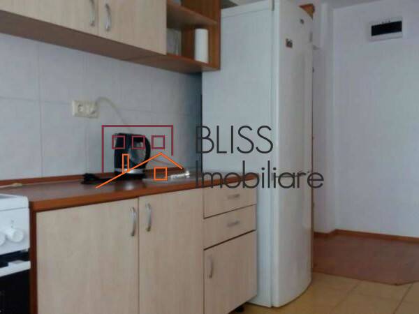 Apartment for Rent Piata Victoriei, Bucharest - 1 Bedroom - ID:42264 | Bliss Imobiliare / Photo 6 - BLISS Imobiliare