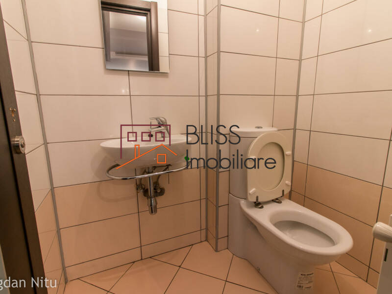 Spacious 3-Bedroom Apartment With Private Garden, Bucharest | Bliss Imobiliare / Photo 12 - BLISS Imobiliare