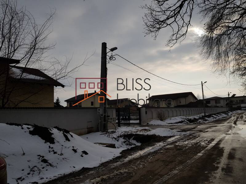 Photo 4 - BLISS Imobiliare