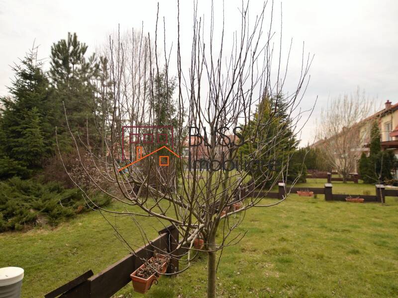 6 Bedroom Villa Ibiza Golf, Bucharest / Ilfov | Bliss Imobiliare / Photo 42 - BLISS Imobiliare