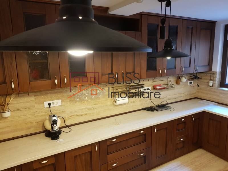 Vila de Inchiriat Dorobanti | Primaverii | Kiseleff | Aviatorilor - 7 Camere - ID:28840 | Bliss Imobiliare / Photo 24 - BLISS Imobiliare