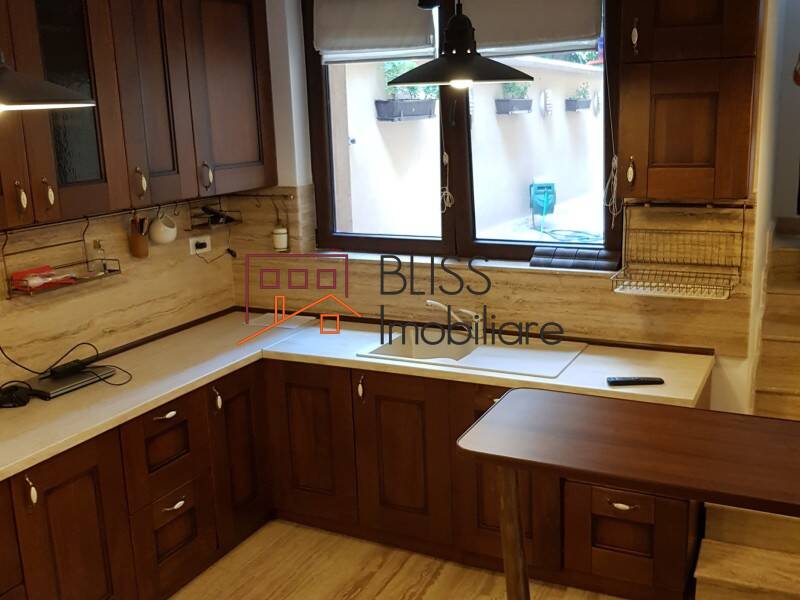 Villa for Rent Dorobanti | Primaverii | Kiseleff | Aviatorilor, Bucharest - 4 Bedroom - ID:28840 | Bliss Imobiliare / Photo 25 - BLISS Imobiliare