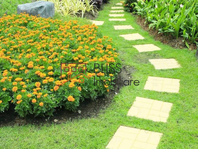 Photo 3 - BLISS Imobiliare