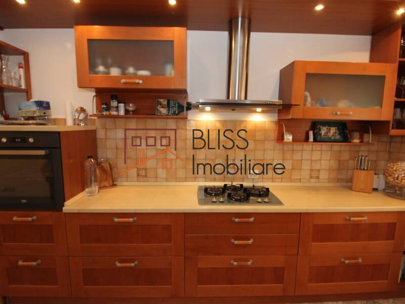 Vila Mobilata Cu 3 Camere Iancu Nicolae | Bliss Imobiliare / Photo 5 - BLISS Imobiliare