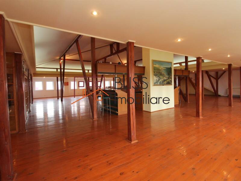 Vila de Vanzare Iancu Nicolae | Pipera - 10 Camere - ID:58989 | Bliss Imobiliare / Photo 31 - BLISS Imobiliare