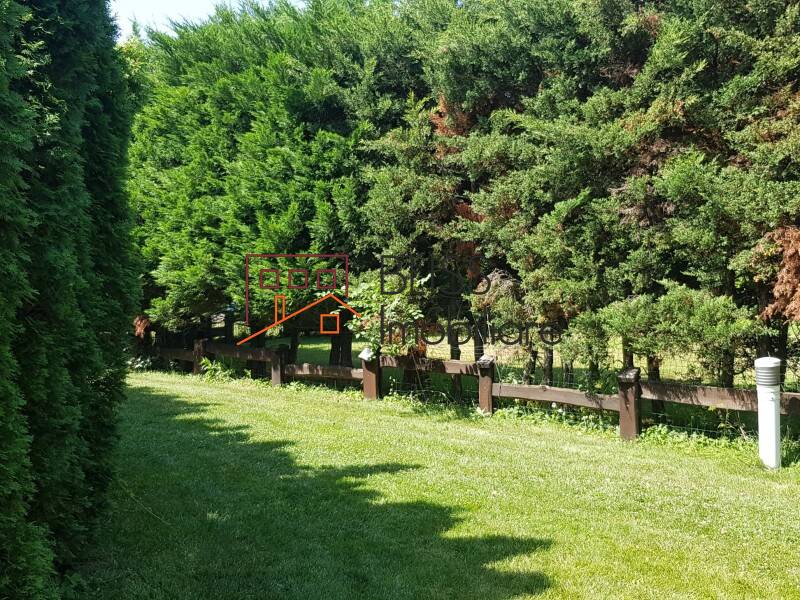 Photo 31 - BLISS Imobiliare