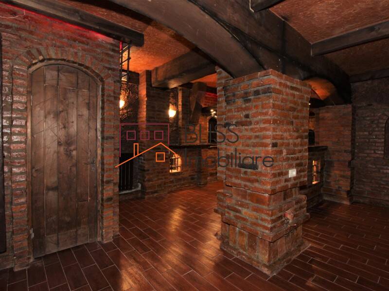 Vila de Inchiriat Iancu Nicolae | Pipera - 8 Camere - ID:73486 | Bliss Imobiliare / Photo 18 - BLISS Imobiliare