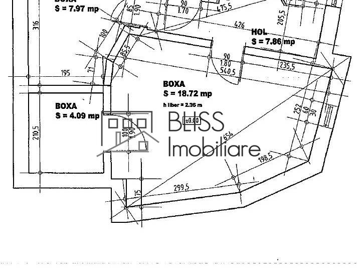 House / Villa, 14 Rooms, Bucharest | Bliss Imobiliare / Photo 38 - BLISS Imobiliare