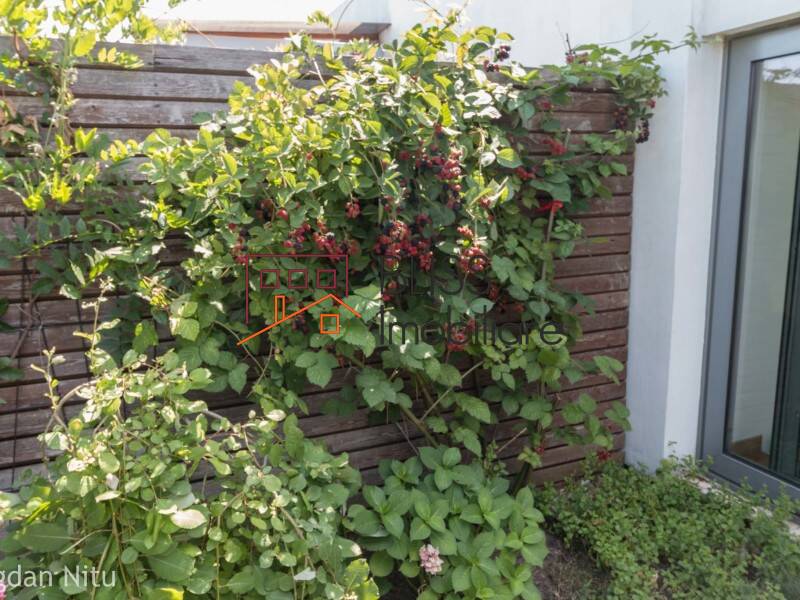 Apartament Penthouse de Inchiriat Herastrau | Nordului - 5 Camere - ID:8639 | Bliss Imobiliare / Photo 36 - BLISS Imobiliare