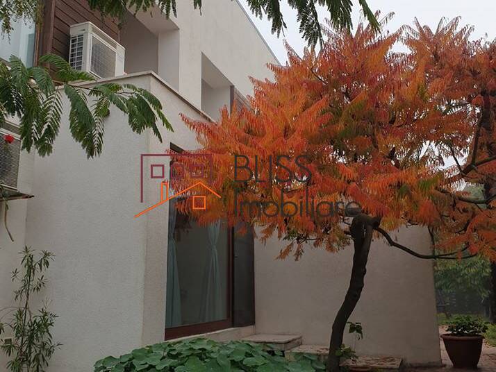 Photo 6 - BLISS Imobiliare