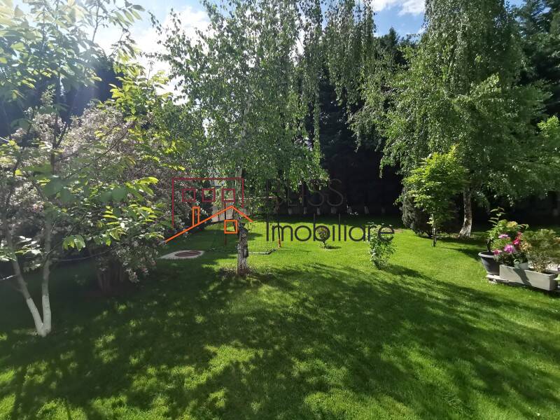 Photo 21 - BLISS Imobiliare