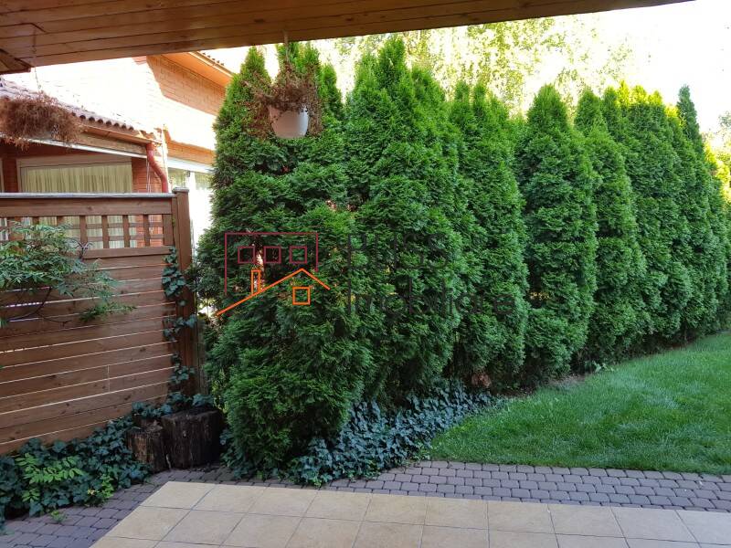 Vila, 6 Camere, Voluntari | Bliss Imobiliare / Photo 6 - BLISS Imobiliare