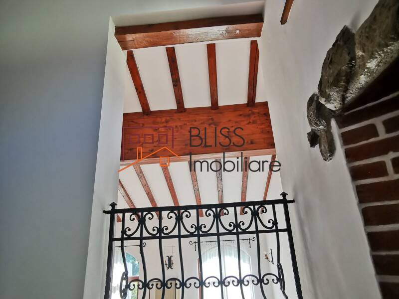 680sqm Villa With Garden And Pool Tunari, Bucharest / Ilfov | Bliss Imobiliare / Photo 32 - BLISS Imobiliare