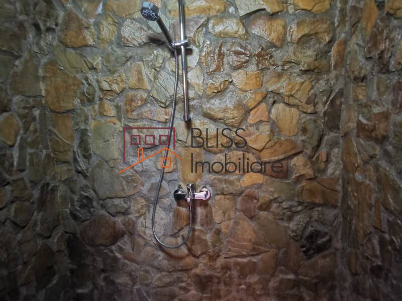 Vila 680mp Cu Gradina Si Piscina Tunari | Bliss Imobiliare / Photo 59 - BLISS Imobiliare