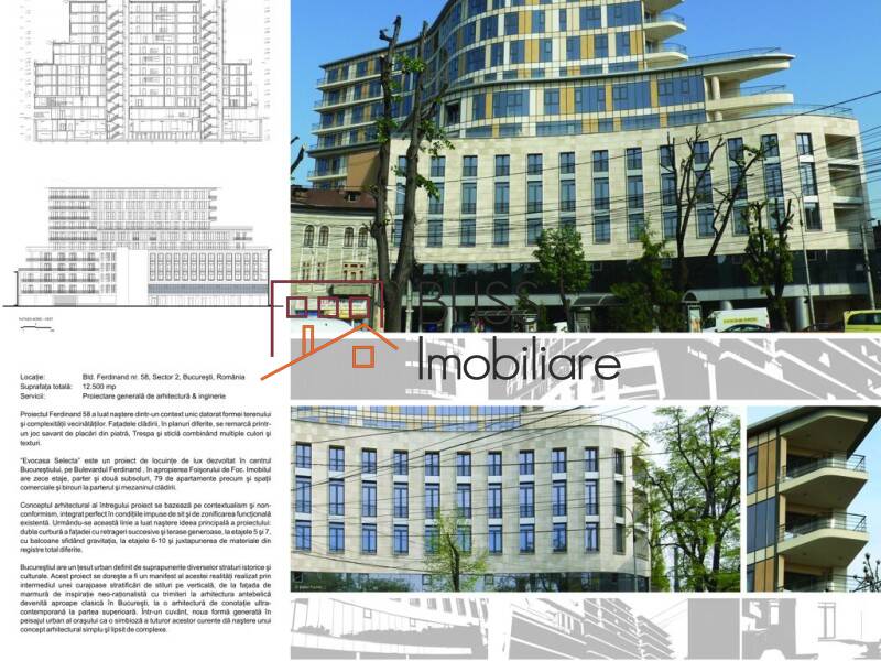 Photo 4 - BLISS Imobiliare