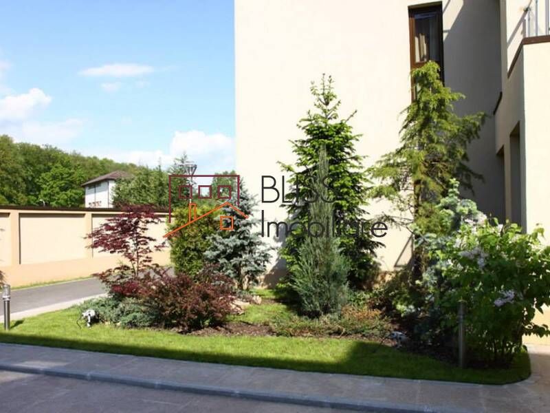 Photo 16 - BLISS Imobiliare