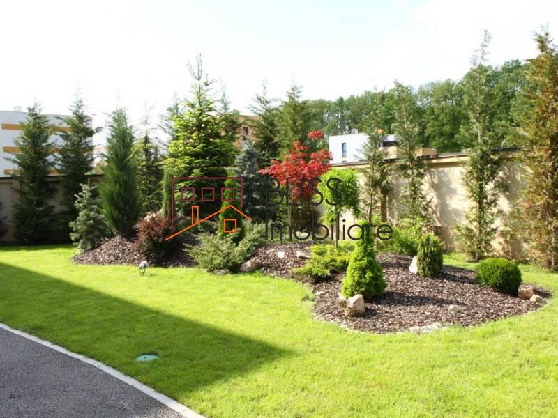 Photo 21 - BLISS Imobiliare