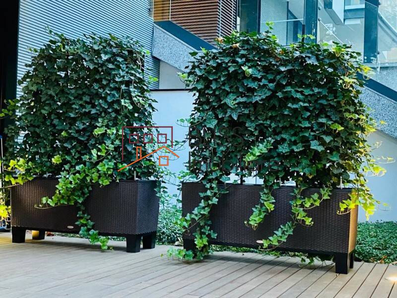 Duplex apartment for Rent Dorobanti | Primaverii | Kiseleff | Aviatorilor, Bucharest - 3 Bedroom - ID:88270 | Bliss Imobiliare / Photo 2 - BLISS Imobiliare