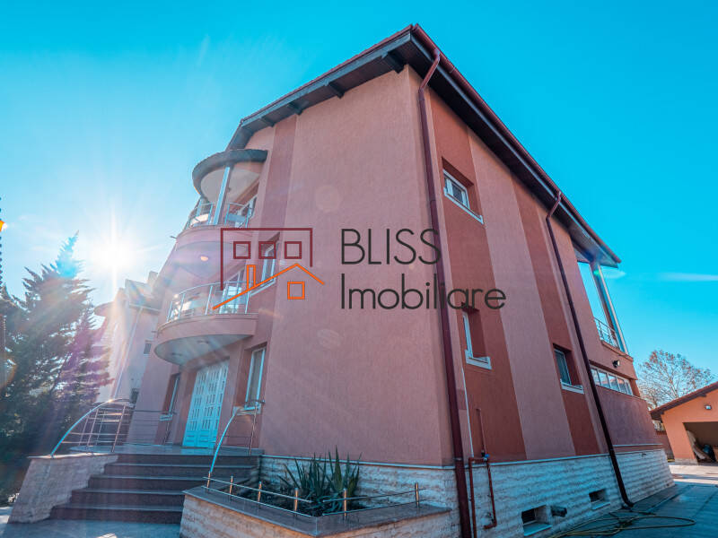 Villa With Pool Iancu Nicolae, Bucharest / Ilfov | Bliss Imobiliare / Photo 3 - BLISS Imobiliare