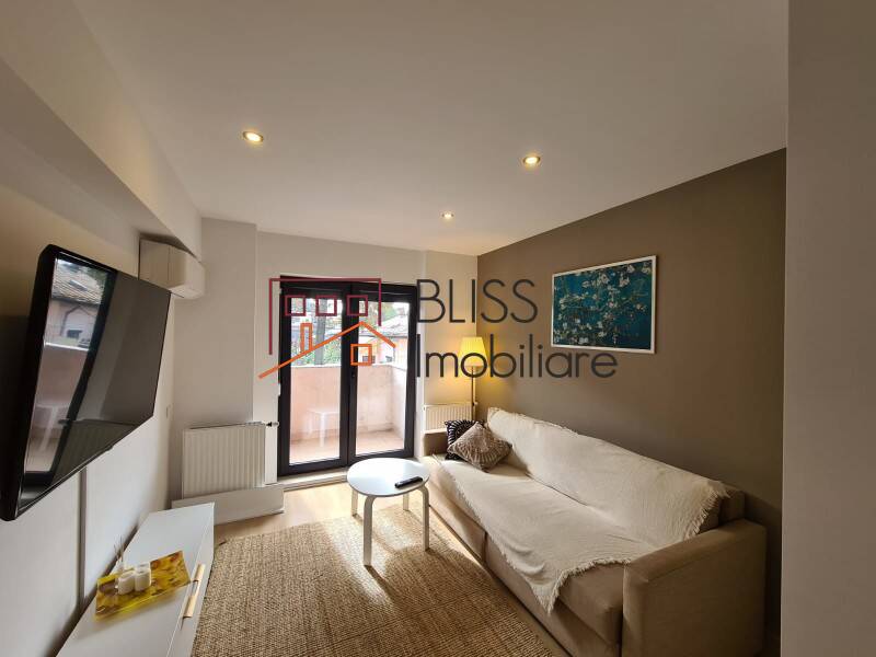 Apartment for Rent Piata Victoriei, Bucharest - 1 Bedroom - ID:66666 | Bliss Imobiliare / Photo 1 - BLISS Imobiliare