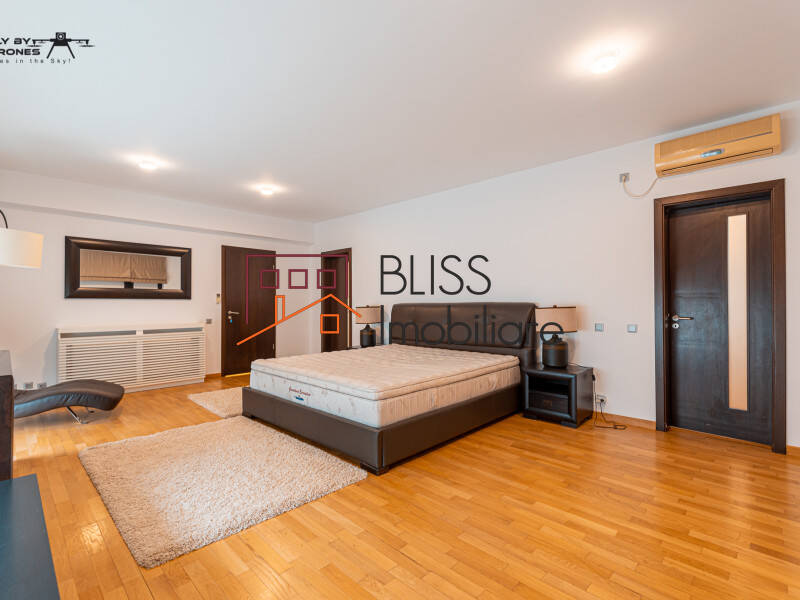 Vila Cu 7 Camere, Zona Herastrau | Bliss Imobiliare / Photo 44 - BLISS Imobiliare