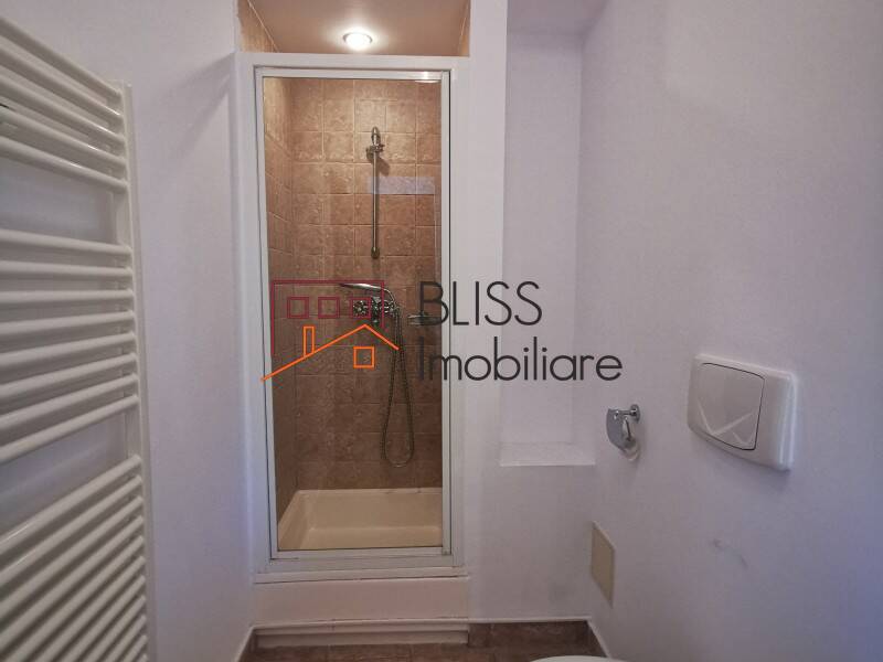 Vila Cu 6 Camere In Zona Iancu Nicolae | Bliss Imobiliare / Photo 45 - BLISS Imobiliare