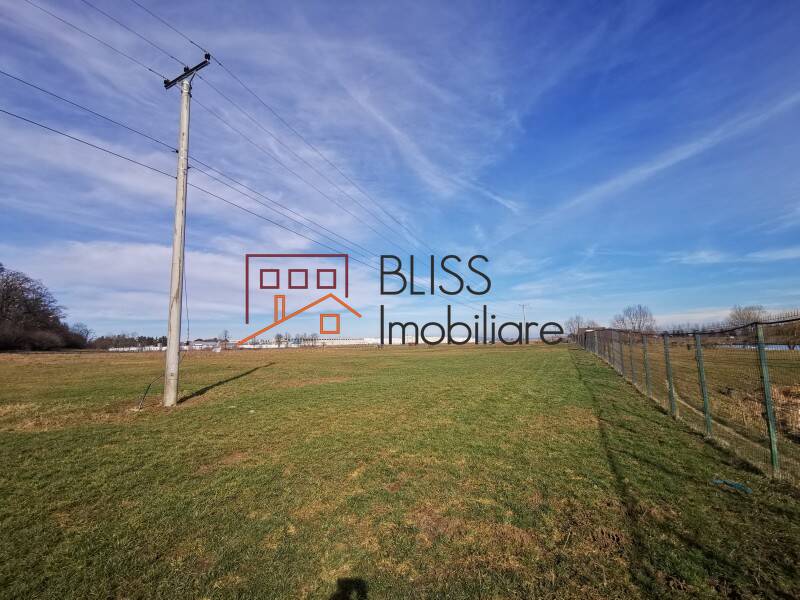 Photo 4 - BLISS Imobiliare