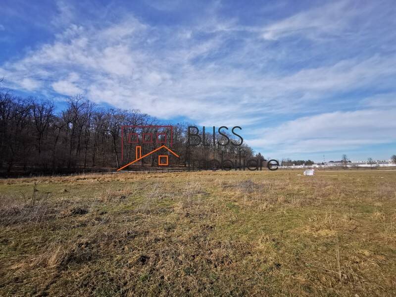 Photo 7 - BLISS Imobiliare