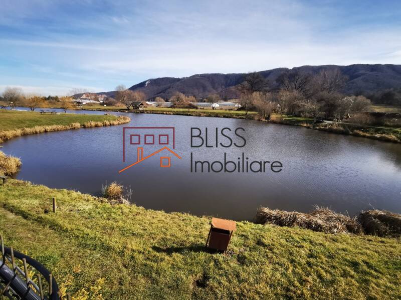 Photo 8 - BLISS Imobiliare