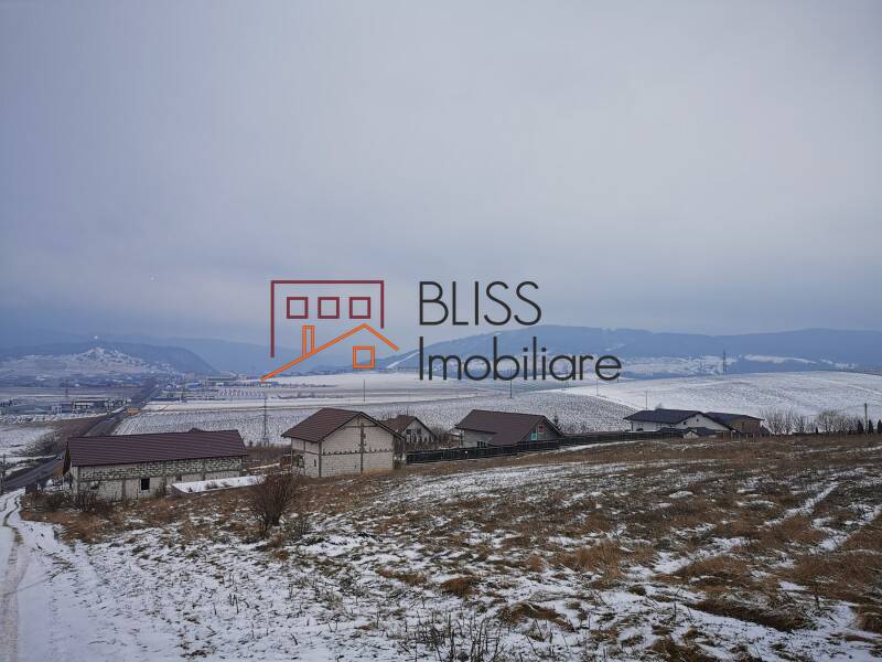 Photo 4 - BLISS Imobiliare