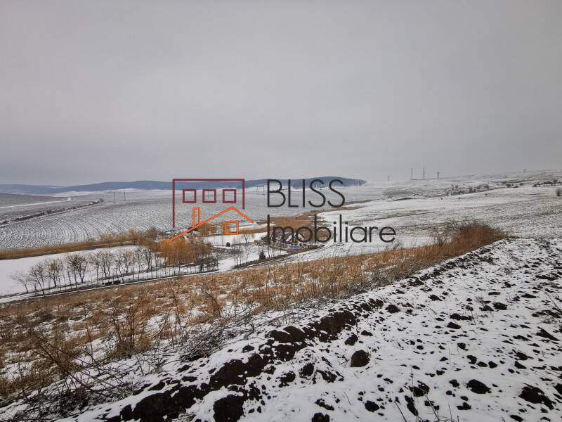 Photo 5 - BLISS Imobiliare