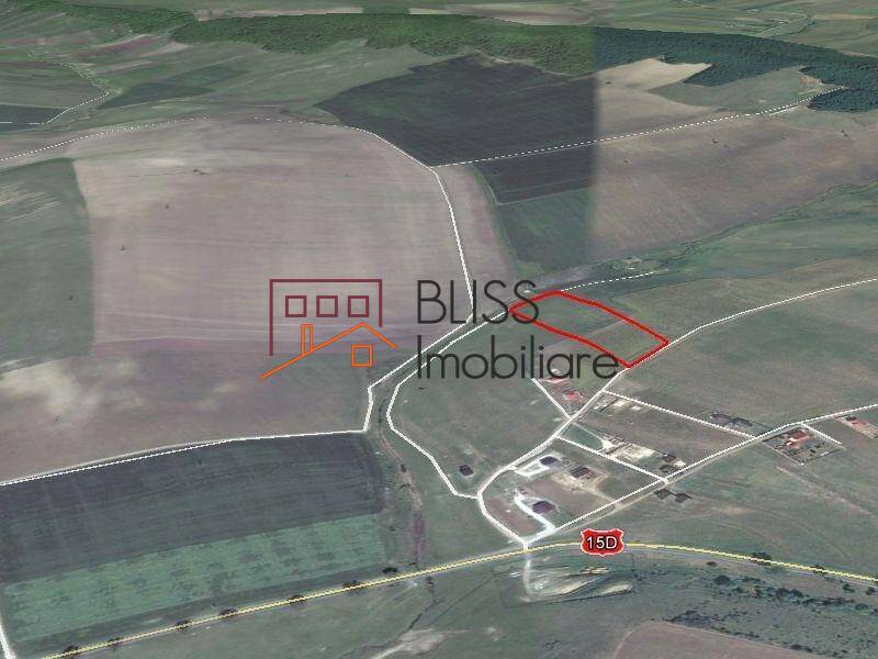 Photo 2 - BLISS Imobiliare