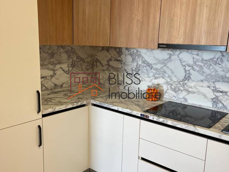 Furnished And Equipped 1 Bedroom Apartment Parc Herastrau, Bucharest | Bliss Imobiliare / Photo 6 - BLISS Imobiliare