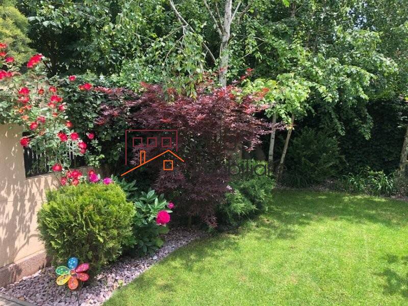 Casa 4 Camere Cu Teren 331 Mp | Bliss Imobiliare / Photo 4 - BLISS Imobiliare