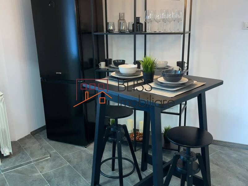 Modern Fully Furnished Studio Apartment Izvor Park, Bucharest | Bliss Imobiliare / Photo 20 - BLISS Imobiliare