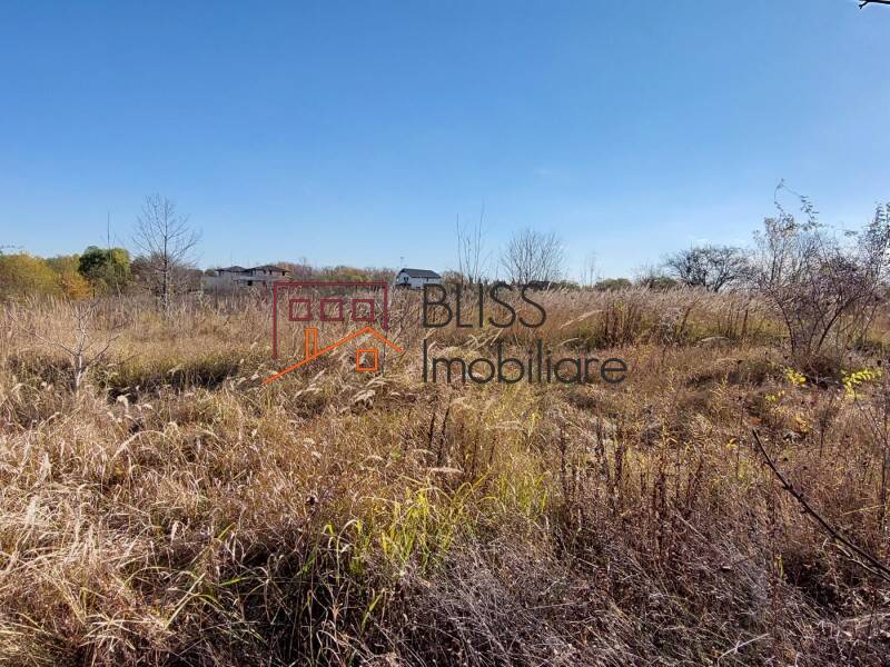 Photo 4 - BLISS Imobiliare