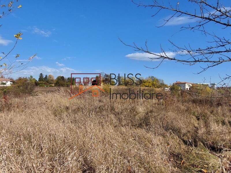 Photo 6 - BLISS Imobiliare