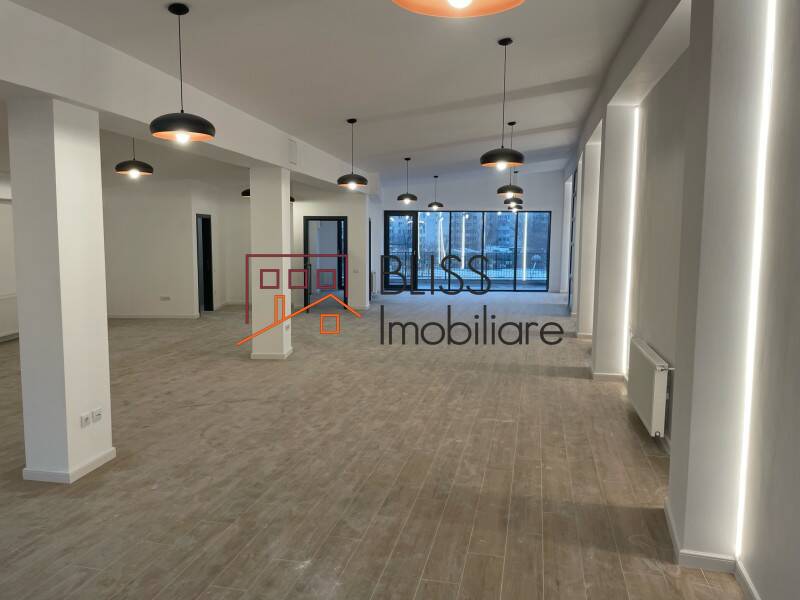 Office space for Rent Piata Victoriei, Bucharest - 2 Rooms - ID:102367 | Bliss Imobiliare / Photo 3 - BLISS Imobiliare