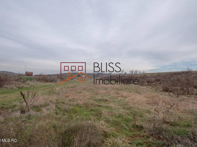 Photo 5 - BLISS Imobiliare