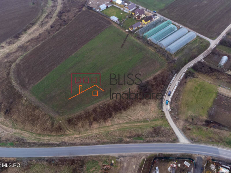 Photo 13 - BLISS Imobiliare