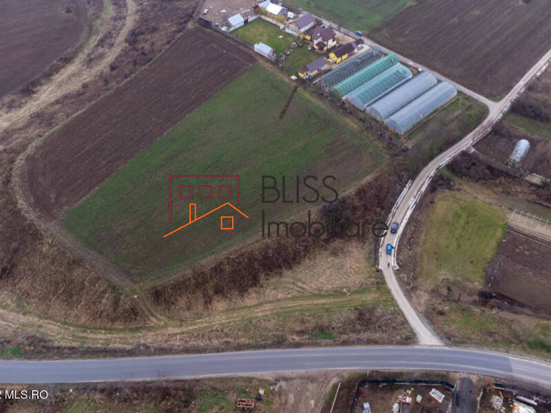 Photo 14 - BLISS Imobiliare